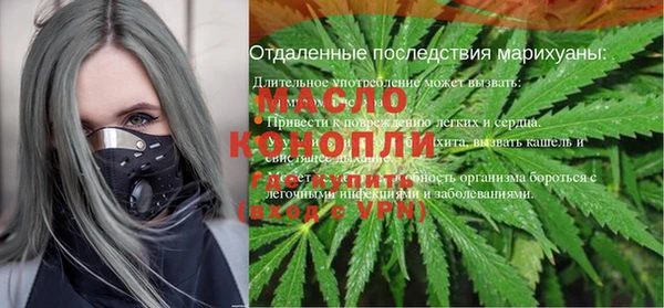 молекула духа Богородск