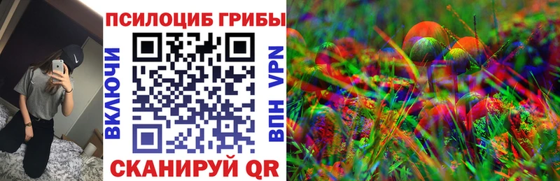 Псилоцибиновые грибы мицелий  Дубовка 
